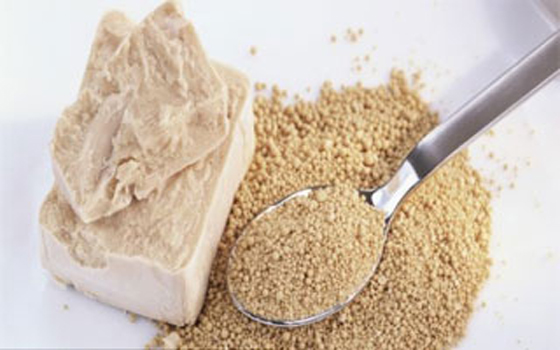   مصر اليوم - الخميرة تعدُّ مفتاح الاتزان عند تناول الخمور