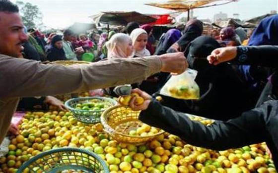   مصر اليوم - تراجع المؤشر لثقة المستلك في الأداء الاقتصادي بنحو 98.1 نقطة