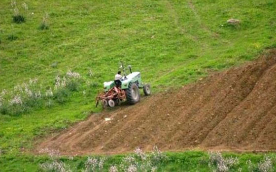   مصر اليوم - منح العقود لأكثر من 142 ألف مستثمر في الجزائر