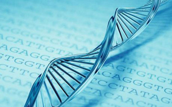   مصر اليوم - اختبار وراثي يتيح معرفة موقع إقامة الأسلاف قبل ألف عام