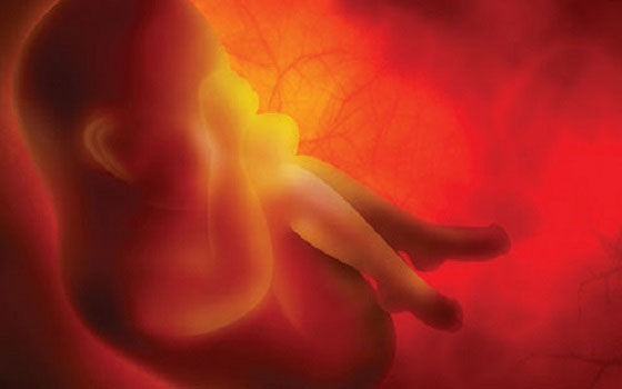   مصر اليوم - بريطانية تقضي قبل أيام معدودة من الولادة وطفلتها بصحة جيدة