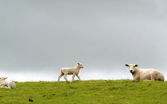   مصر اليوم - عرض جبل للبيع لتسديد ضرائب في إنكلترا
