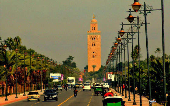   مصر اليوم - مراكش تمتلك مؤهلات تمنحها الحق في الاحتفال بيوم الأرض