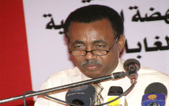   مصر اليوم - الحكومة السودانيّة مسؤولة عن التعدي على الغابّات