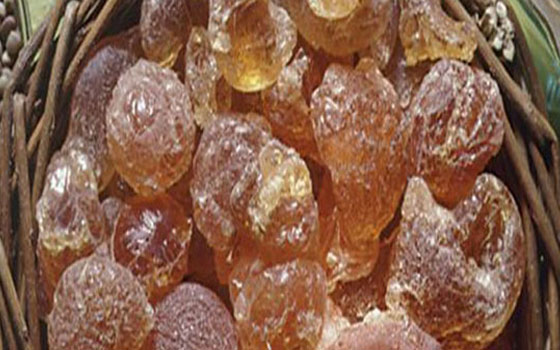   مصر اليوم - إرتفاع في أسعار الصمغ العربي والقطن في الأسواق العالمية