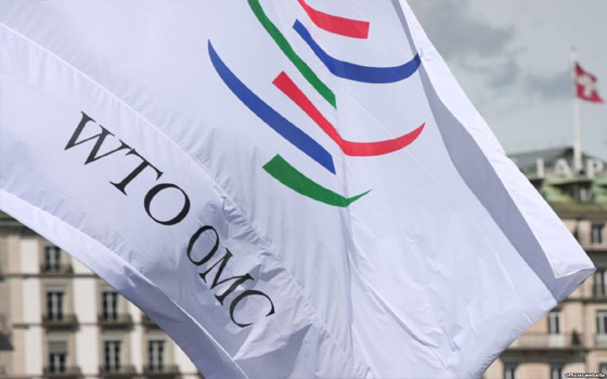   مصر اليوم - أميركا تكسب نزاعاً مع الصين بشأن رسوم واردات السيارات