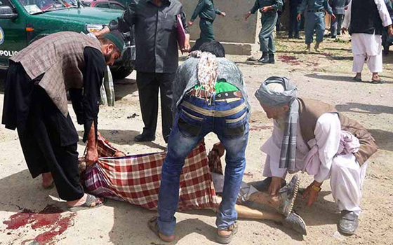   مصر اليوم - مقتل 105 مسلحين من طالبان بعمليات أمنية في أفغانستان