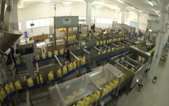   مصر اليوم - المطاحن الكويتية تحقق 27.4 مليون دينار أرباحًا في 2013