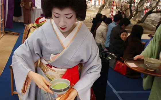 مصر اليوم - قناع براز العصافير وسيلة مشاهير العالم لمكافحة الشيخوخة