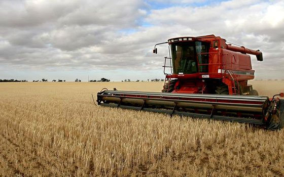   مصر اليوم - الشمالية تستعرض تقارير حصاد الموسم الشتوي والتعدين