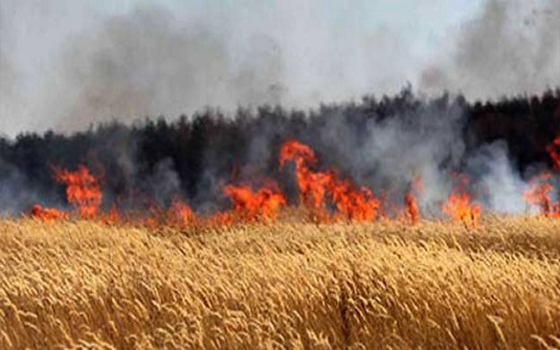 مصر اليوم - حريق في 4 أفدنة بسبب ماس كهربي في البحيرة