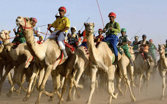   مصر اليوم - مؤتمر لمناقشة فعاليات مهرجان التسوق والسياحة والهجن