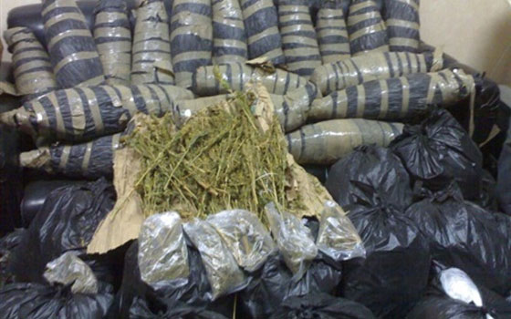   مصر اليوم - توقيف عاطليْن بحوزتهما 15 لفافة بانجو في شمال سيناء