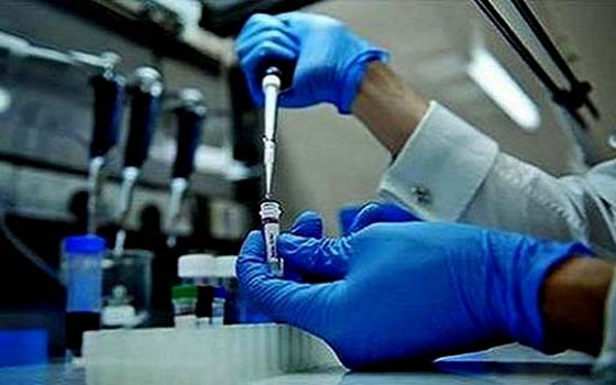   مصر اليوم - حالة اشتباه بمرض الكورونا في الأقصر