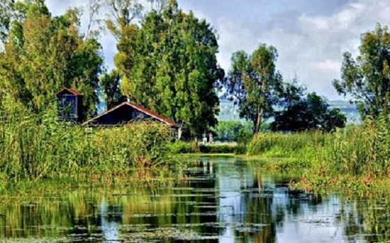   مصر اليوم - مستثمرون سعوديّون يتولّون تطوير مدينة القالة السياحيّة في الجزائر