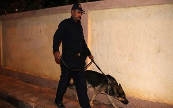   مصر اليوم - أجهزة الأمن تُمشّط المناطق المحيطة بانفجار التبين في حلوان