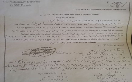 مصر اليوم - استيراد مواشي مصابة بـالسل في ميناء الأدبيّة في السويس