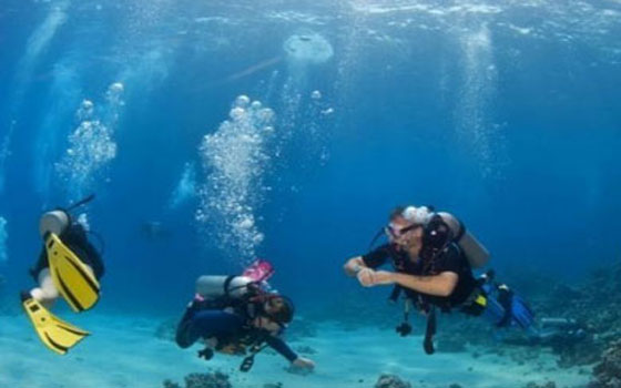   مصر اليوم - عبد الله يبحث استعدادات إقامة مهرجان الغردقة الدولي للغوص