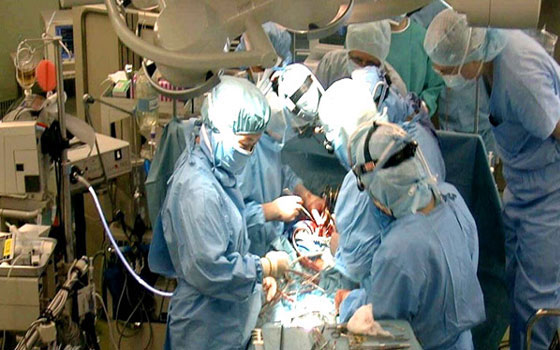   مصر اليوم - جراحو اليابان يجرون عملية جراحية فريدة