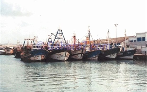   مصر اليوم - أصحاب لنشات الصيد في السويس يُطالبون بمنحهم تصاريح العمل