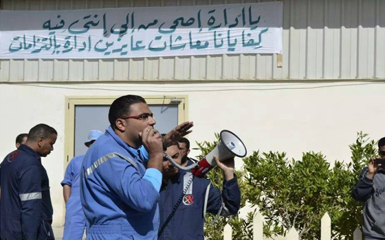   مصر اليوم - إضراب عمال البروبلين في بورسعيد يدخل يومه الـ 12