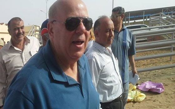   مصر اليوم - محافظ بورسعيد يتفقد محطة تسمين الماشية