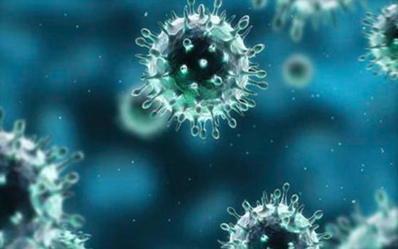   مصر اليوم - الصحة اليمنية تنفي أنباء عن انتشار فيروس كورونا في محافظة إب