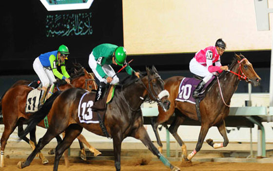   مصر اليوم - نادي الفروسية يقيم حفل سباقيه السابع والثامن يومي الجمعة والسبت