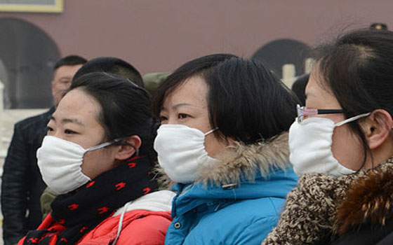   مصر اليوم - الصين تسجل ثلاث حالات إصابة بشرية بأنفلونزا الطيور