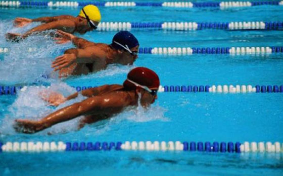   مصر اليوم - منتخب السباحة يحصد 7 ميداليات ذهبيّة في دورة الألعاب الأفريقيّة