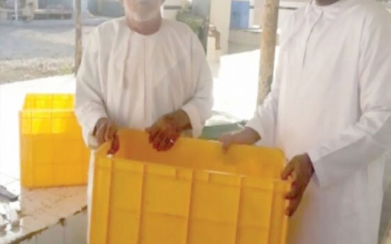   مصر اليوم - توزيع صناديق لحفظ الأسماك في لوي