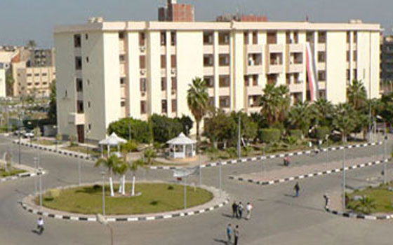   مصر اليوم - جامعة دمياط تُوقّع بروتوكول تعاون مع مؤسسة مصر الخير