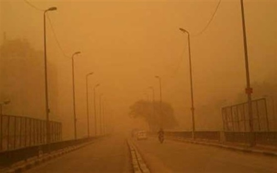 مصر اليوم - خسائر فادحة للبدو بسبب الطقس السيء والأمطار الغزيرة