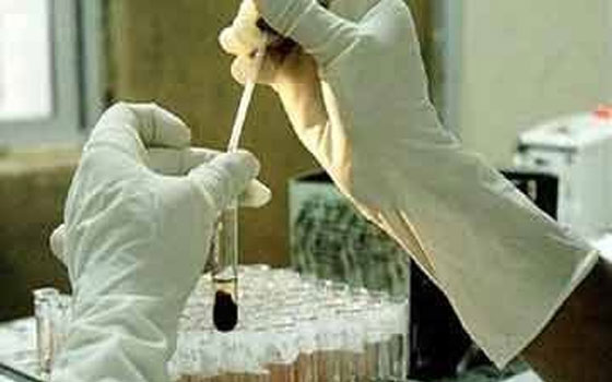   مصر اليوم - استنفارُ الصحة المصريّة بعد ظهور الحالة الأولى المُصابّة بـكورونا