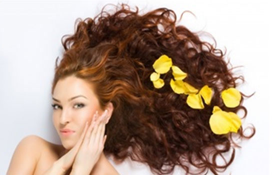 مصر اليوم - 5 زيوت طبيعية تعيد الحيوية لشعرك