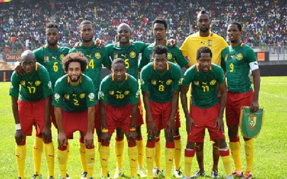   مصر اليوم - الكاميرون تبدأ استعداداتها لكأس العالم من النمسا