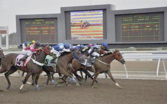   مصر اليوم - انطلاق السباق الثامن في موسم سباقات الخيل للمصيف في الطائف