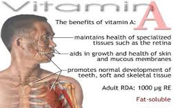   مصر اليوم - فيتامين أي وعلاقته بالتهابات الرئة