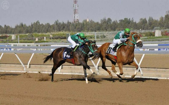   مصر اليوم - نادي الفروسية يقيم حفل سباقه التاسع ضمن موسم سباقات الخيل