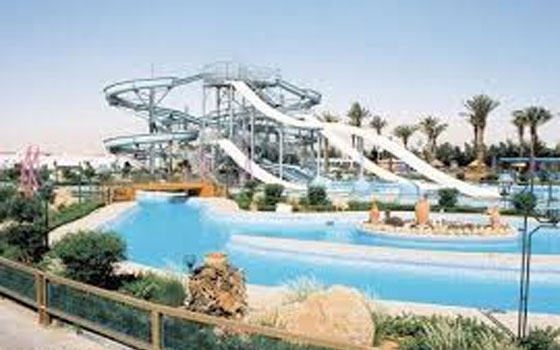   مصر اليوم - 36 معلم سباحة في تبوك يستفيدون من مشروع تطوير الألعاب المائية