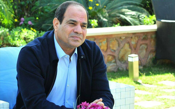 مصر اليوم - حملة السيسي توفد مجموعة من منسقيها إلى الإمارات