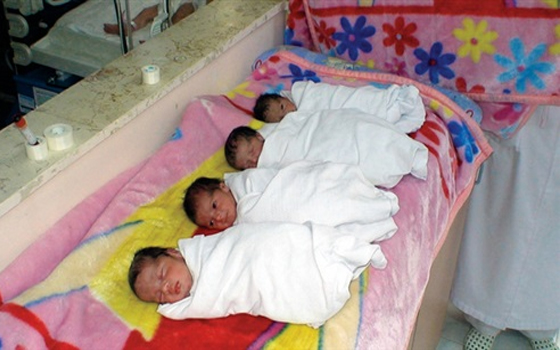   مصر اليوم - ربة منزل تنجب 4 توائم قيصريًا في الغردقة