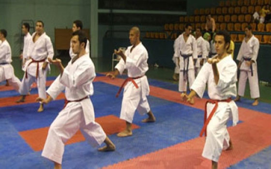   مصر اليوم - نادي الغردقة يحتفل بانتصارات منتخب البحر الأحمر في الـكاراتيه