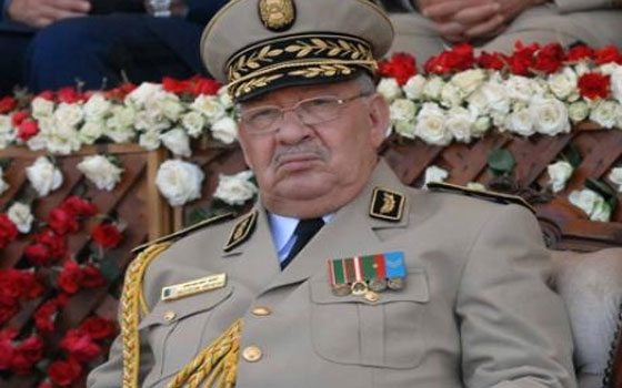   مصر اليوم - تمارين ميدانيَّة تكتيكيَّة لرفع قدرات الجيش الوطنيّ الشَّعبيّ الجزائريّ