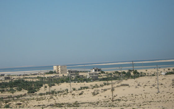   مصر اليوم - فرض الرقابة على إنتاج بحيرة البردويل من الأسماك