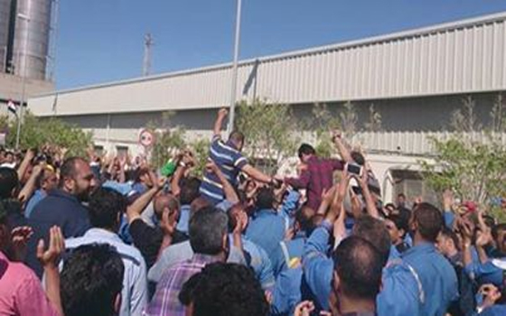   مصر اليوم - عمال البرولين في بورسعيد يحملون الشركة مسؤوليّة توقف الإنتاج
