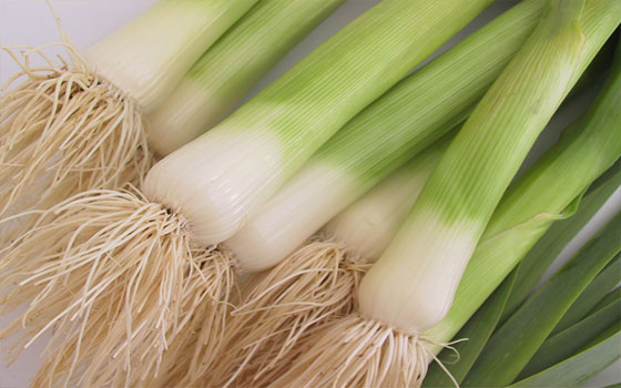   مصر اليوم - البصل الأخضر علاج لإلتهاب الحلق واحتقان الأنف