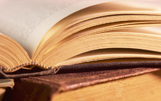   مصر اليوم - مداخل إلى علم الجمال الأدبي لعبد المنعم تليمة فيمكتبة الأسرة