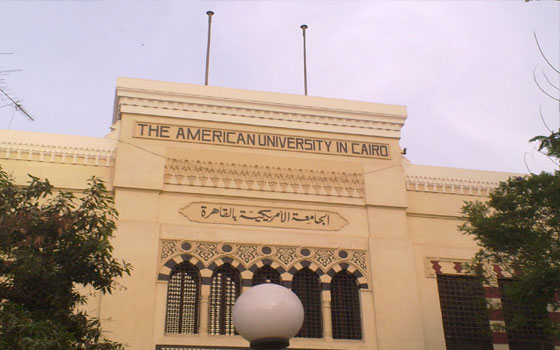 مصر اليوم - الجامعة الأميركيّة في القاهرة تفتتح معرض الفنانة جاذبية سري