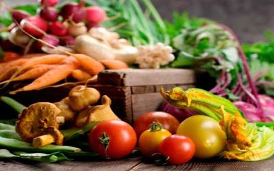   مصر اليوم - دراسة عن فيتامين أي وعلاقته بالتهابات الرئة